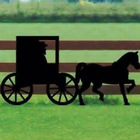 Amish 8 Ball icône