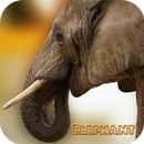 Imágenes bonitas de elefantes APK