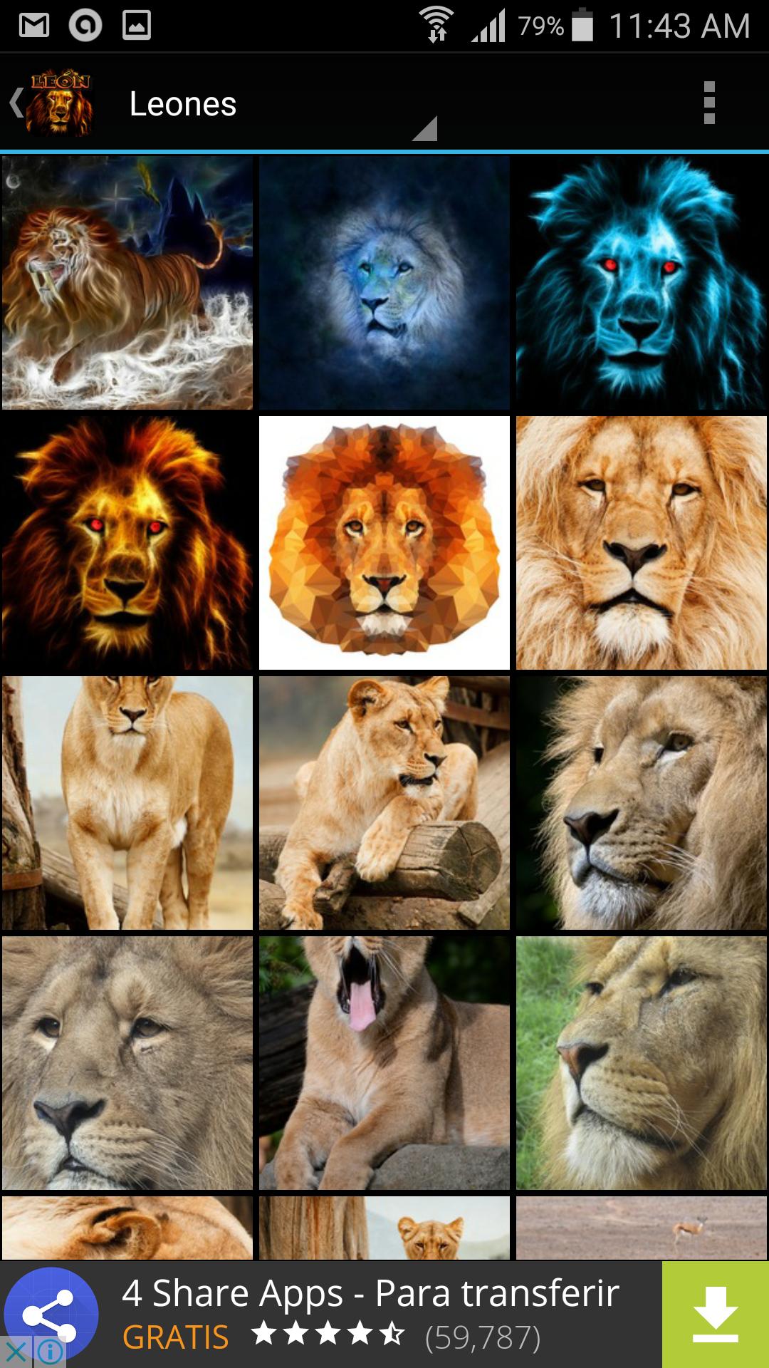 Imágenes para fondos de pantalla de leones APK for Android Download