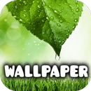 Fondos de pantalla de imágenes de lluvia APK