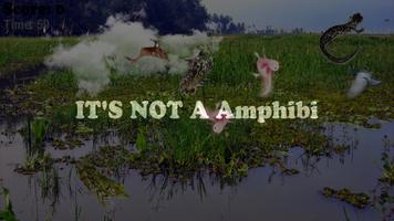 about animals amphibians 截图 1