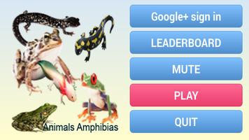 about animals amphibians 截图 2
