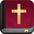 ikon Amplify Bible