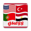 Guess The Flag APK