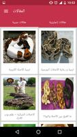 Arab Reptiles تصوير الشاشة 1