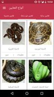 Arab Reptiles تصوير الشاشة 2