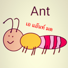 A to Z a ant mod-icoon