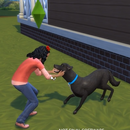 APK Tips for The Sims 4 Cats And Dogs Antelope