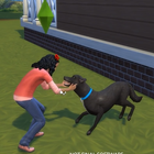 Tips for The Sims 4 Cats And Dogs Antelope 아이콘