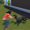 ”Tips for The Sims 4 Cats And Dogs Antelope