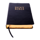 English Bible: The Daily Bread-icoon