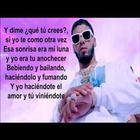 Anuel Que Seria Letras Musica descargar simgesi