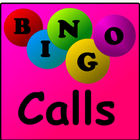 Bingo Calls icône