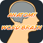 Anatomy WordBrain Quiz icône