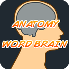 Anatomy WordBrain Quiz icon