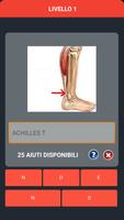 Anatomy WordBrain Quiz screenshot 2