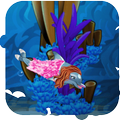 Happy Dolphin Playground