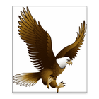 Eagle Wallpapers icono
