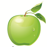 Dieto Saifee Hospital