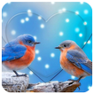 Birds Live Wallpaper