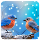 Birds Live Wallpaper icon