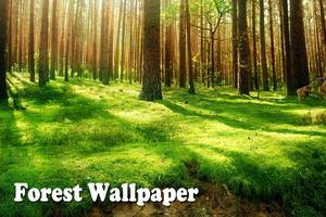 Forest Live Wallpaper bài đăng