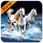 Horses Live Wallpapers 图标