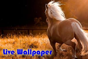 Horses Live Wallpapers 截图 3