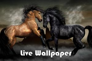Horses Live Wallpapers 海报