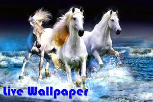 Horses Live Wallpapers 截图 1