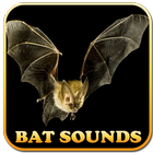 Bat Sounds In Cave иконка