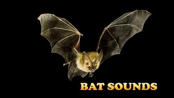 Bat Sounds In Cave постер