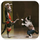 صور مضحكة وغريبة روعة APK