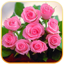 صور ورد جميلة APK