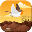Lovely Bird 圖標