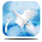 Angel Wings HD Live Wallpaper icône