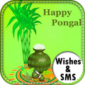 Happy Pongal Wishes-SMS