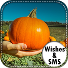 Happy Thanks Giving Day Wishes-SMS icône