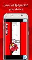 angry HD wallaper for bird 截图 2