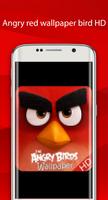 angry red wallpaper bird HD постер