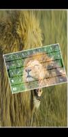 Angry Lion Keyboard Theme plakat