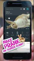 Bunny on your Screen Prank Poster