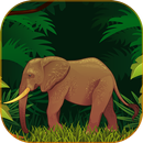 3D Elephant Attack APK