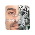 Face morph mix 图标