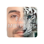 Face morph mix