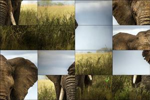 Animals Puzzle imagem de tela 1