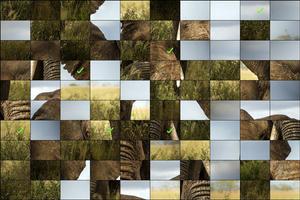 Animals Puzzle imagem de tela 2