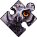 animal aplikacja