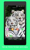 Animal 3D Live Wallpaper পোস্টার