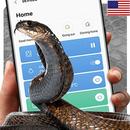 Ular di layar prank APK